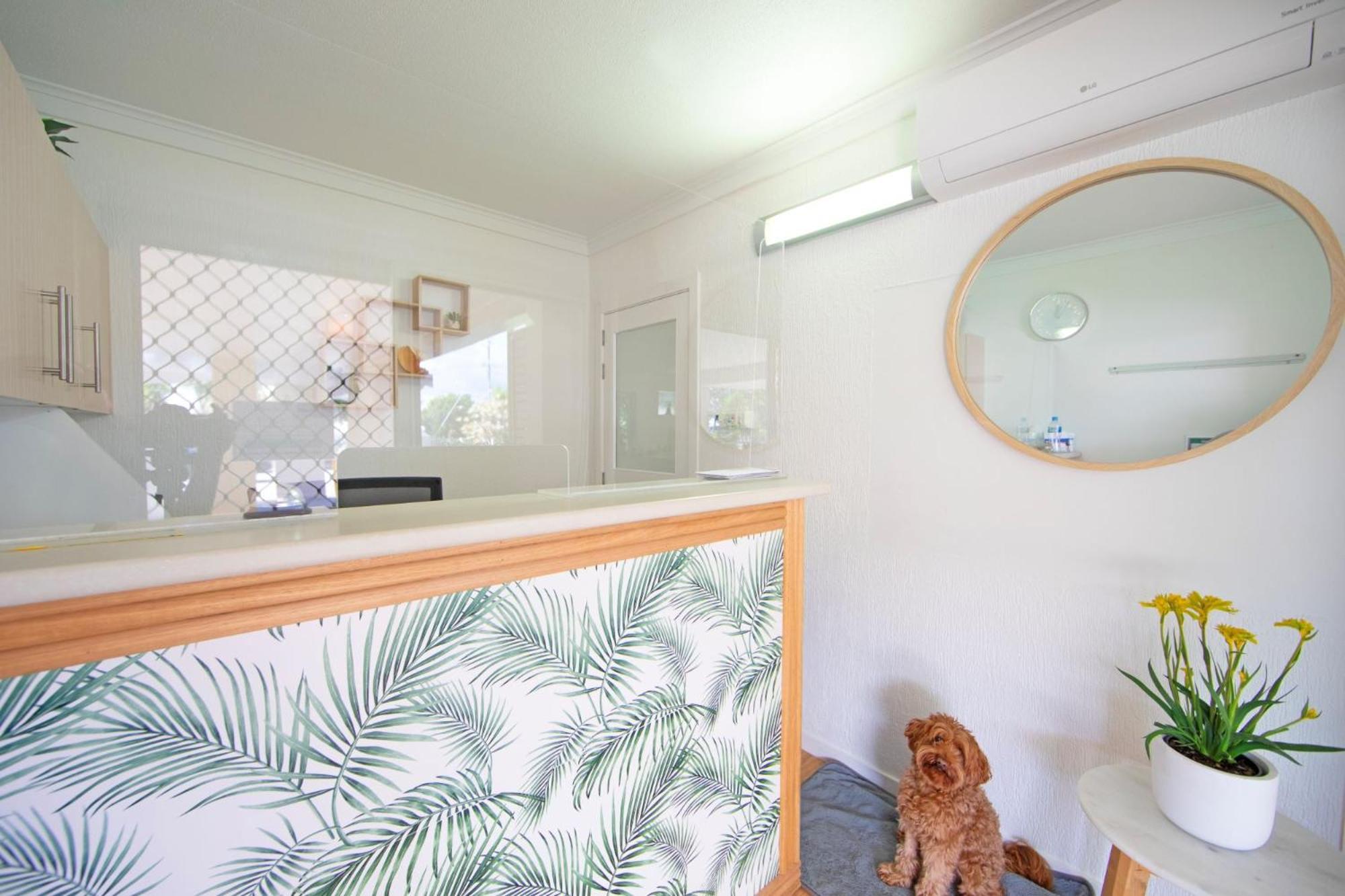 Pottsville Beach Motel ภายนอก รูปภาพ